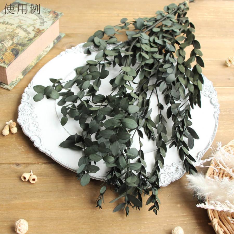 メール便 対応 プリザーブドモス 花材 そらプリ リーフグリーン モス