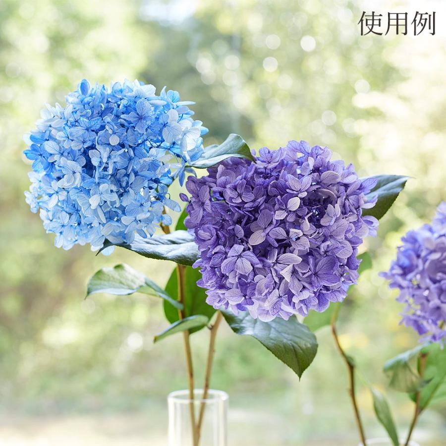 P5倍中 6/23 9:59まで】 プリザーブドフラワー 花材 とりよせ品 レモン