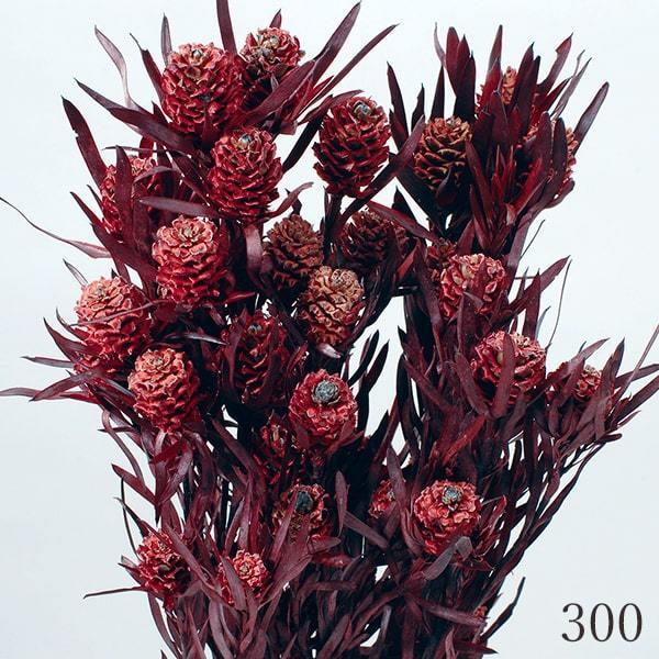 プリザーブドフラワー 花材 とりよせ品 ソフトサリグナム・実付 ドライ