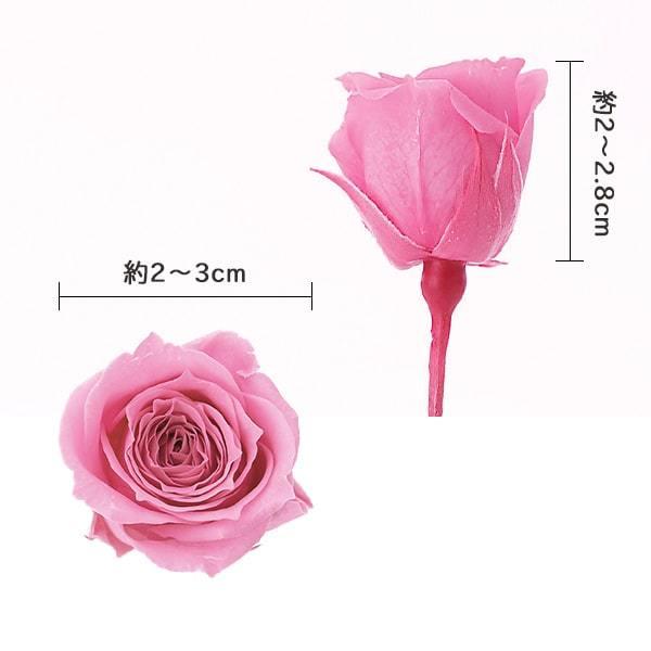プリザーブドフラワー 花材》◇とりよせ品◇大地農園 ビビアン ローズ ハーバリウム プリザーブドローズ プリ プリザーブド ブリザーブド バラ 花 :och-02370-pv2:造花ドライフラワー専門問屋花びし - 通販 - Yahoo!ショッピング プリザーブドフラワー 花材》◇とりよせ品◇大地農園 ビビアン ローズ ハーバリウム プリザーブドローズ プリ プリザーブド ブリザーブド バラ 花 :och-02370-pv2:造花ドライフラワー専門問屋花びし - 通販 - Yahoo!ショッピング