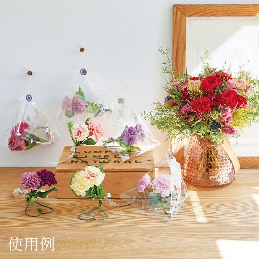 プリザーブドフラワー 花材 とりよせ品 カーネーション(1箱8輪入り