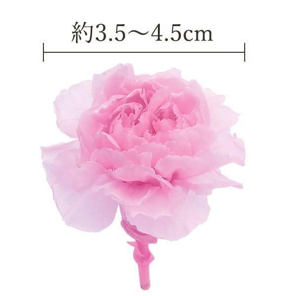 プリザーブドフラワー 花材 とりよせ品 ミニカーネーション(1箱9 プリザーブドフラワー 花材 とりよせ品 ミニカーネーション(1箱9