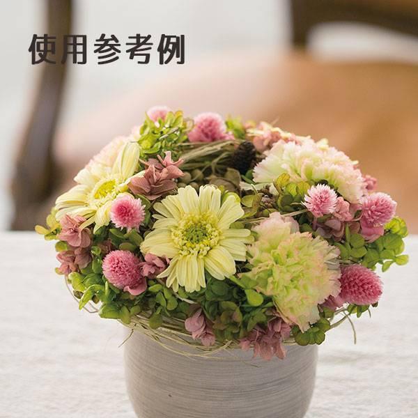 プリザーブドフラワー 花材 とりよせ品 カーネーション・はないろ(1箱8