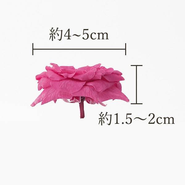 P5倍中 7/14 9:59まで】 プリザーブドフラワー 花材 とりよせ品