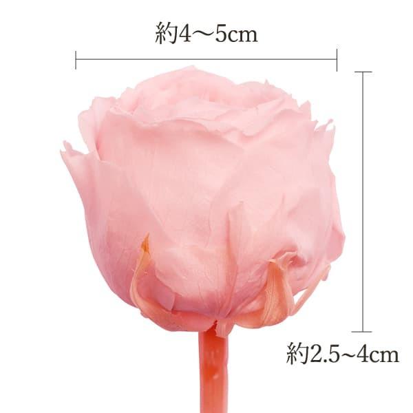 プリザーブドフラワー 花材》◇とりよせ品◇大地農園 ローズ・てまり(1箱8輪入り) ローズ ハーバリウム プリザーブドローズ プリ プリザーブド :och-02460-pv1:造花ドライフラワー専門問屋花びし - 通販 - Yahoo!ショッピング プリザーブドフラワー 花材》◇とりよせ品◇大地農園 ローズ・てまり(1箱8輪入り) ローズ ハーバリウム プリザーブドローズ プリ プリザーブド :och-02460-pv1:造花ドライフラワー専門問屋花びし - 通販 - Yahoo!ショッピング