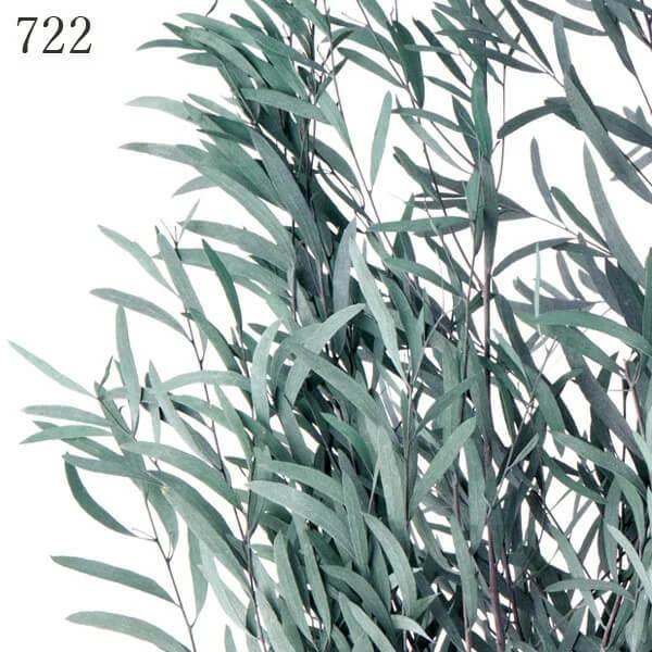 プリザーブドフラワー 花材 とりよせ品 ユーカリ・ニコリ ドライ