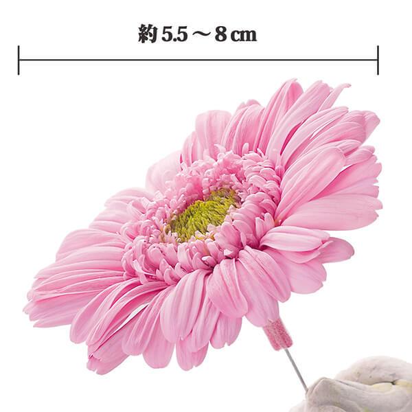 プリザーブドフラワー 花材 とりよせ品 ガーベラ(1箱9輪入り プリザーブドフラワー 花材 とりよせ品 ガーベラ(1箱9輪入り