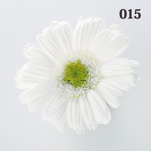 プリザーブドフラワー 花材 とりよせ品 ガーベラ(1箱9輪入り) ドライ