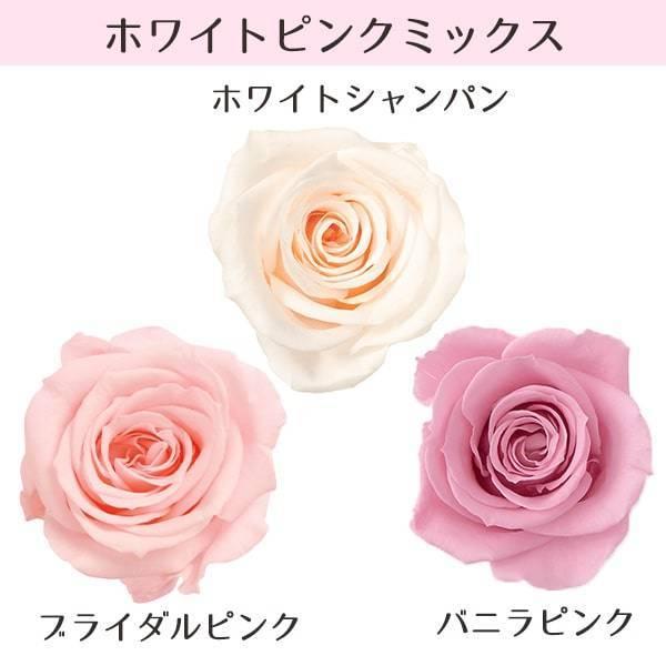 プリザーブドフラワー 花材》◇とりよせ品◇大地農園 ローズ・いずみ・カラーアソート (1箱9輪入り) ローズ ハーバリウム プリザーブドローズ 花 :och-03484:造花ドライフラワー専門問屋花びし - 通販 - Yahoo!ショッピング プリザーブドフラワー 花材》◇とりよせ品◇大地農園 ローズ・いずみ・カラーアソート (1箱9輪入り) ローズ ハーバリウム プリザーブドローズ 花 :och-03484:造花ドライフラワー専門問屋花びし - 通販 - Yahoo!ショッピング