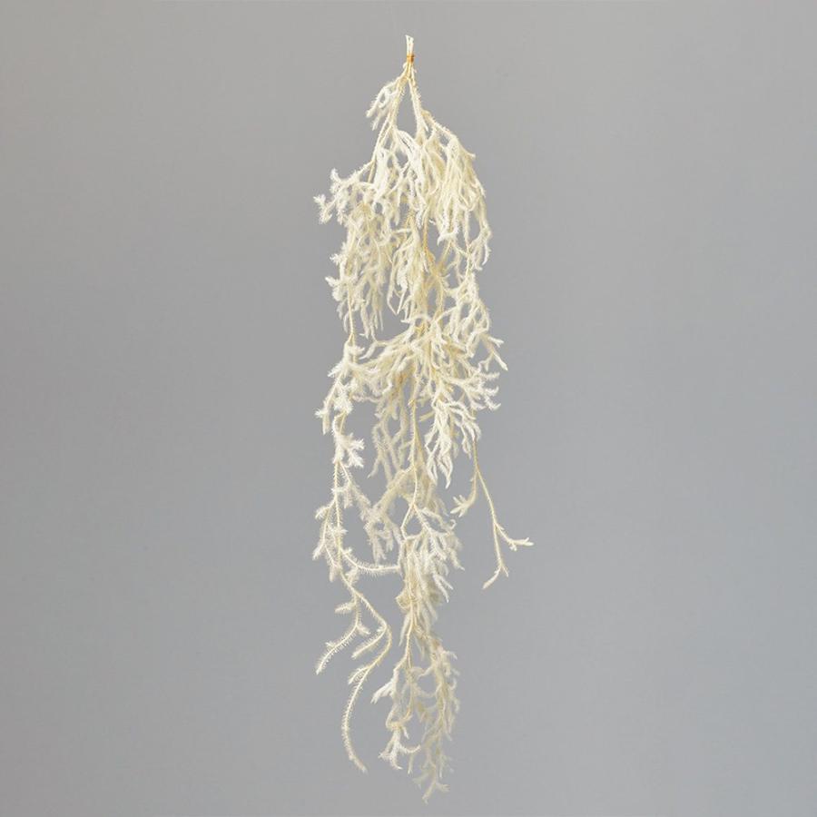 12/9着ヒカゲノカズラ 1.5m/本×6×10セット flowerさま専用 12/9着ヒカゲノカズラ 1.5m/本×6×10セット flowerさま専用