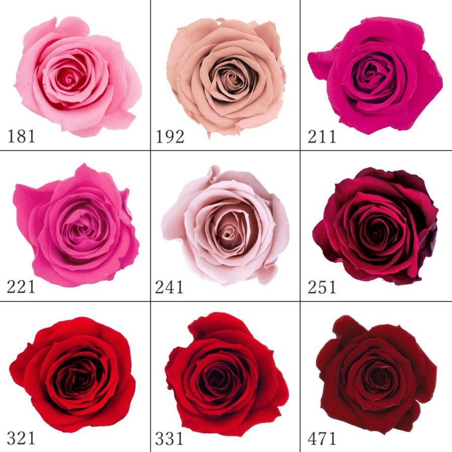 プリザーブドフラワー 花材 とりよせ品 ローズ・ミミ(1箱9輪入り