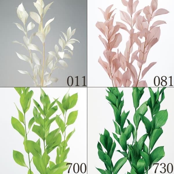 プリザーブドフラワー とりよせ品 大地農園 ルスカス ガーデン グリーン リーフ 葉 プリザグリーン プリザーブドグリーン ハーバリウム 花 Och 造花ドライフラワー専門問屋花びし 通販 Yahoo ショッピング