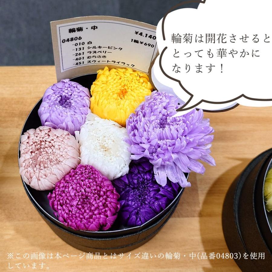 プリザーブドフラワー 花材 とりよせ品 輪菊・小(1箱9輪入り) 素材