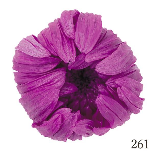 P5倍中 8/6 9:59まで】 プリザーブドフラワー 花材 とりよせ品 輪菊