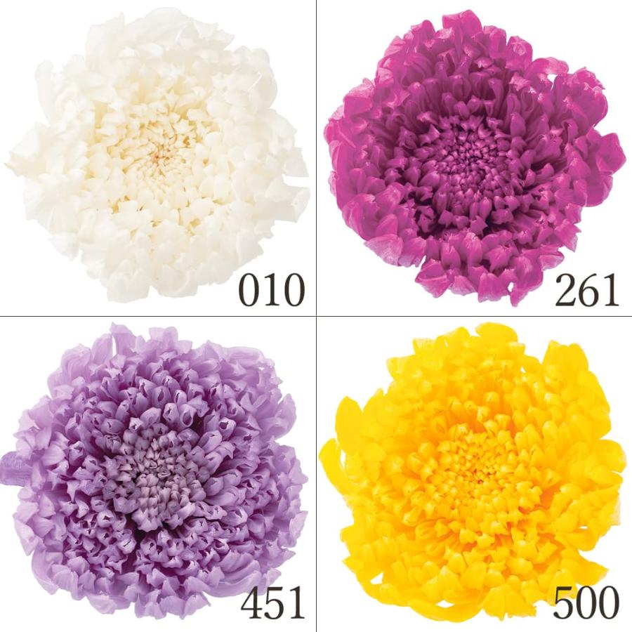 プリザーブドフラワー 花材 とりよせ品 輪菊・咲花 ドライフラワー