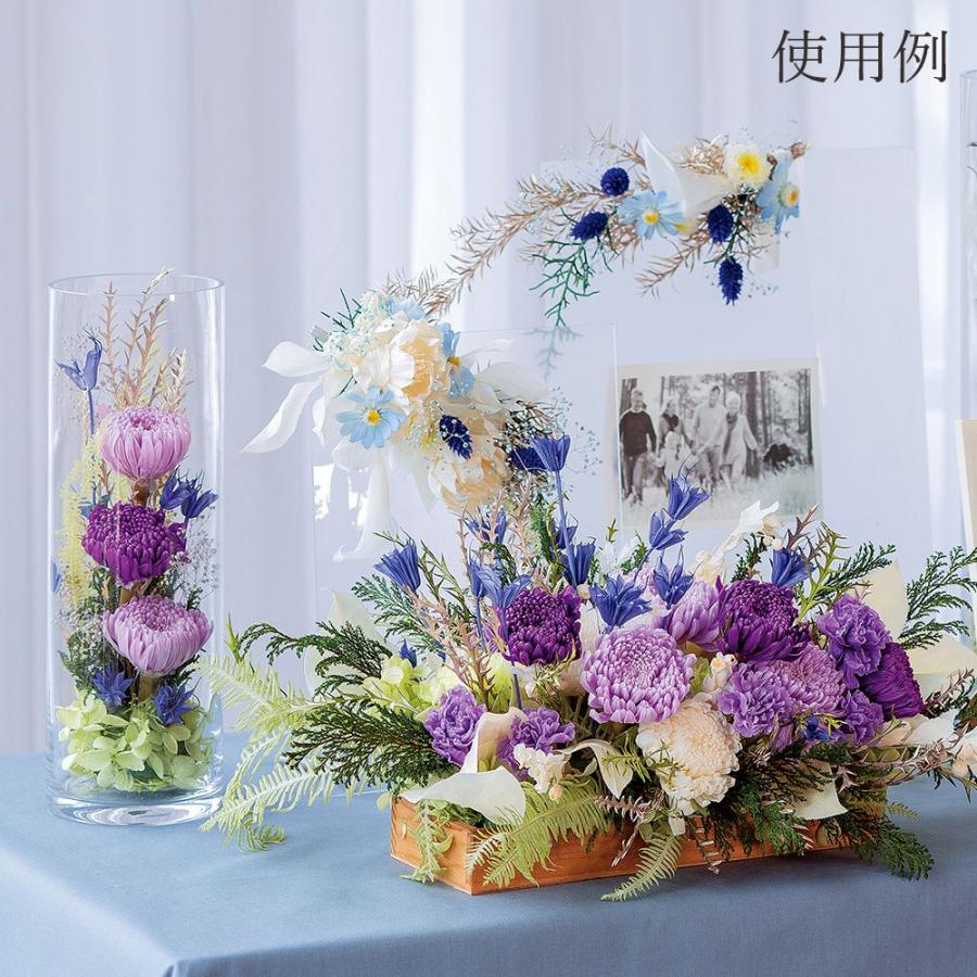プリザーブドフラワー 花材 とりよせ品 輪菊・中(6輪入り) 素材 プリザーブドフラワー 花材 とりよせ品 輪菊・中(6輪入り) 素材