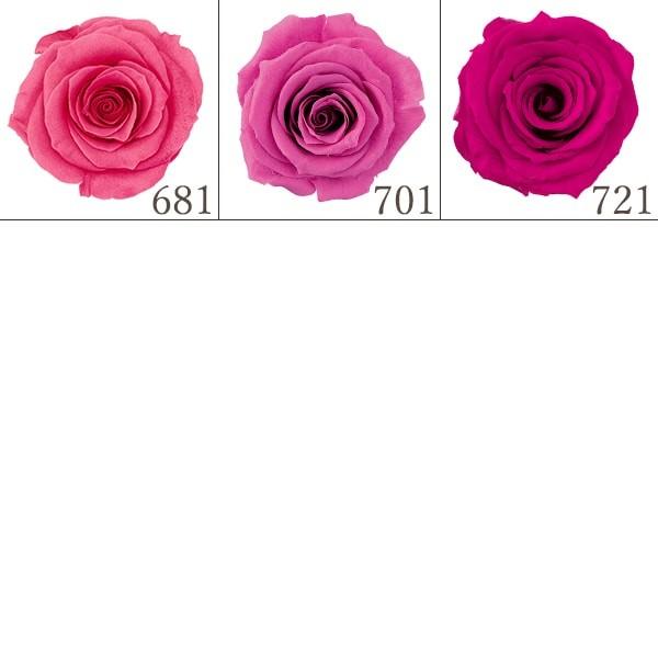 プリザーブドフラワー花材 KS アウトレット | プリザーブドフラワーKnext