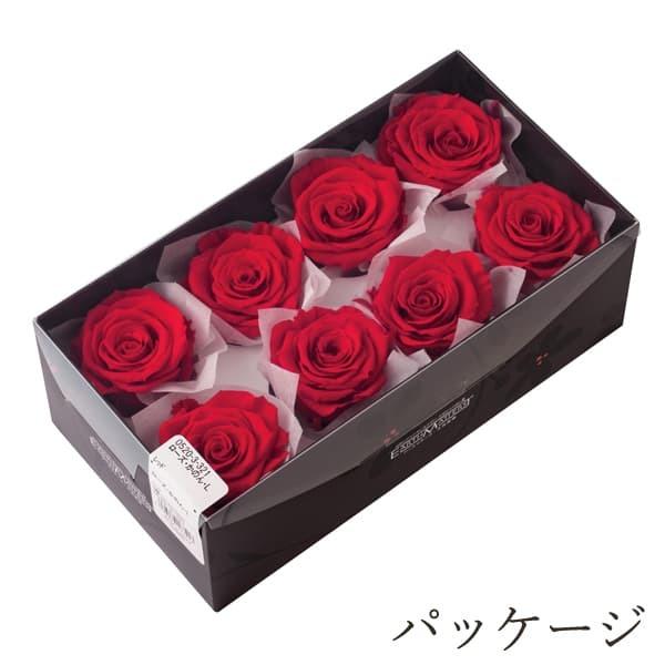 プリザーブドフラワー 花材 とりよせ品 ローズ・かのん・L(1箱8