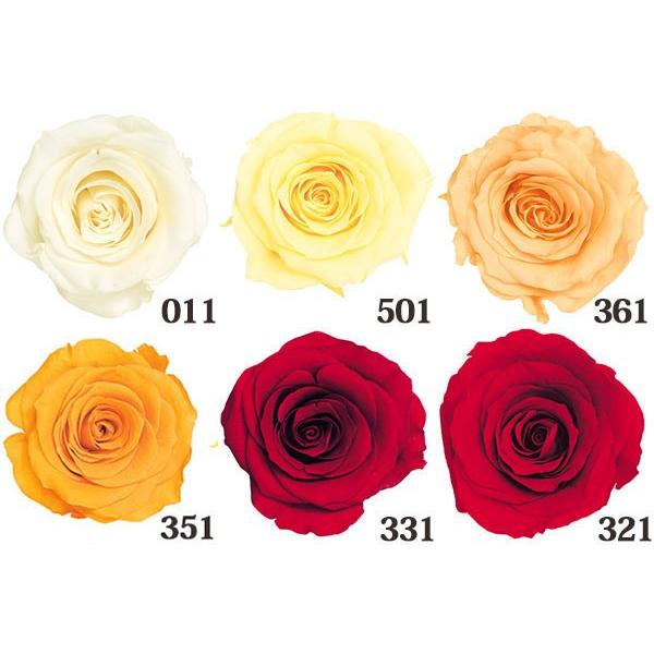 直営店に限定 プリザーブドフラワー 花材 とりよせ品 大地農園 ローズ かのん L 1箱8輪入り ハーバリウム プリザーブドローズ プリ ナチュラル Cisama Sc Gov Br