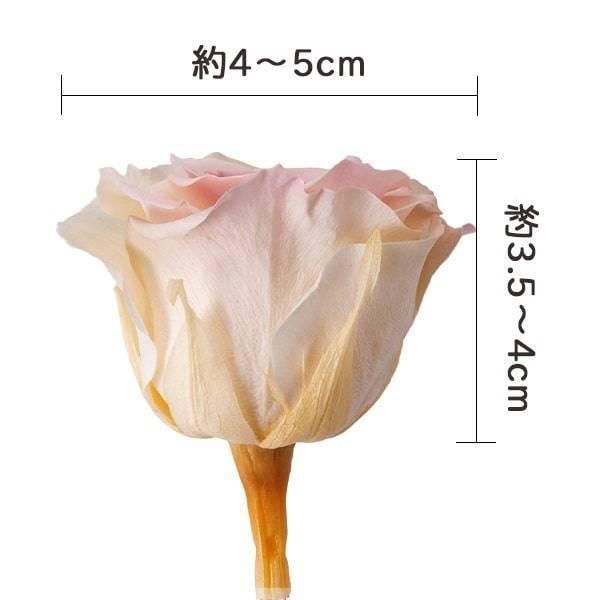 プリザーブドフラワー 花材 とりよせ品 ローズ・かのん・M・カラー