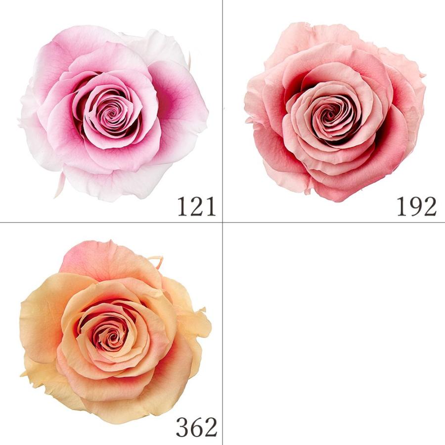 P5倍中 7/14 9:59まで】 プリザーブドフラワー 花材 とりよせ品 ローズ