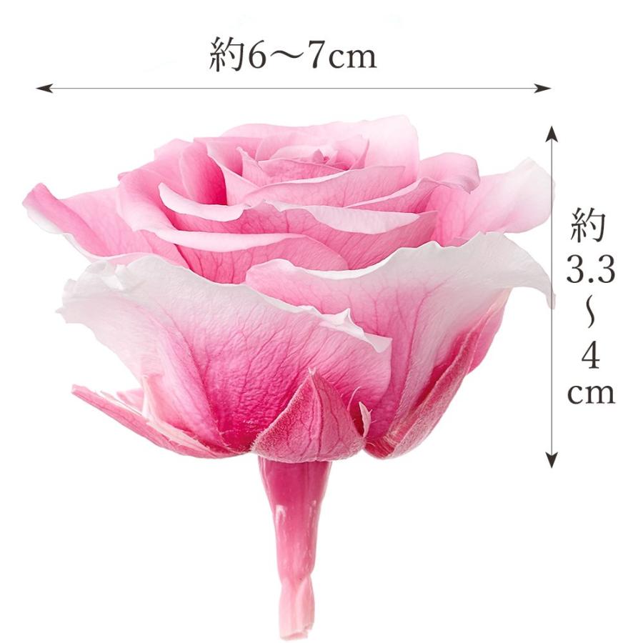 P5倍中 7/14 9:59まで】 プリザーブドフラワー 花材 とりよせ品 ローズ
