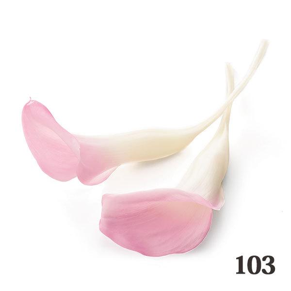 プリザーブドフラワー 花材 とりよせ品 カラーリリー・小 (5輪入り