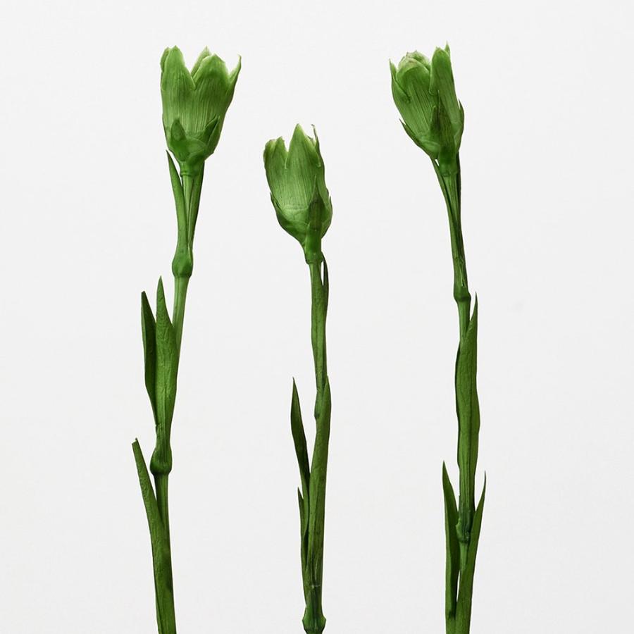 プリザーブドフラワー 花材 とりよせ品 カーネーションステム(5