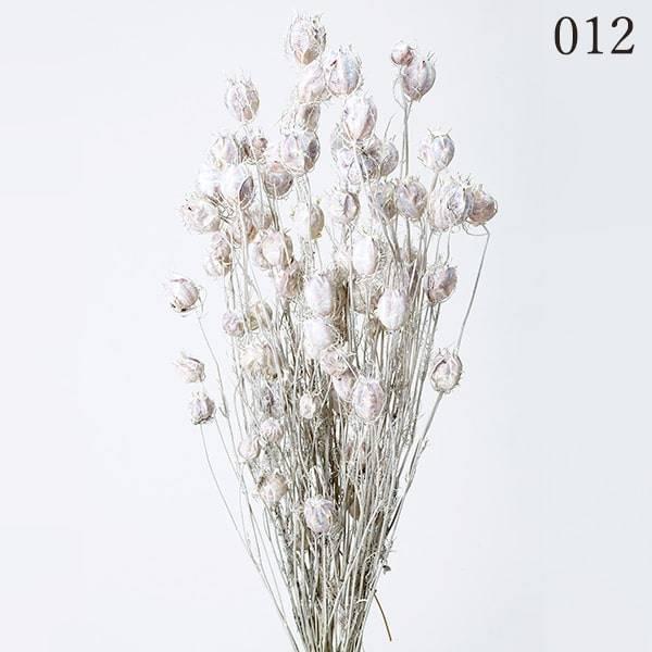 323円 人気大割引 ドライフラワー 花材 とりよせ品 大地農園 フーセンポピー ウォッシュホワイト ドライ 自然素材 ナチュラルドライフラワー インテリア プリ 花
