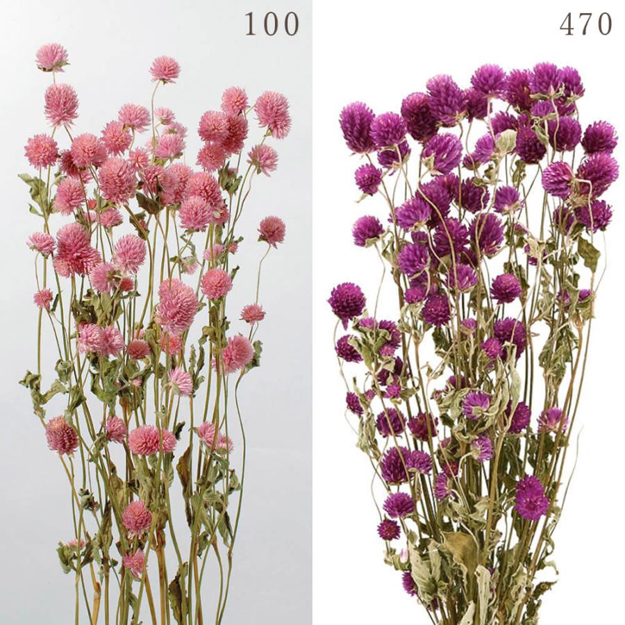 ドライフラワー 花材 とりよせ品 大地農園 千日紅 ドライ 自然素材 ナチュラルドライフラワー インテリア インテリアフラワー プリ プリザ 花 Och 101 造花ドライフラワー専門問屋花びし 通販 Yahoo ショッピング