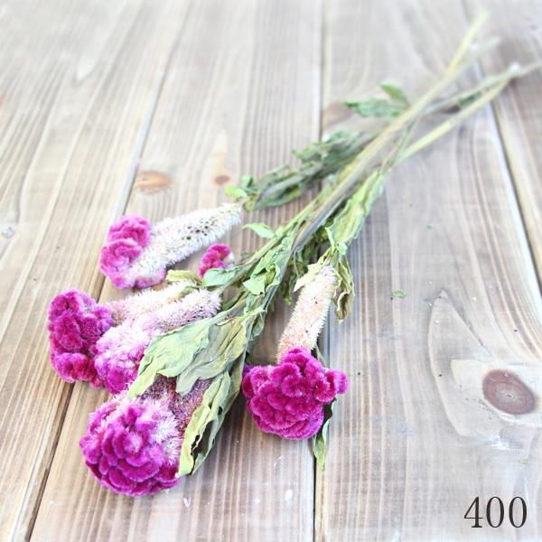 ドライフラワー とりよせ品 大地農園 ケイトウ ドライ 自然素材 ナチュラルドライフラワー インテリア インテリアフラワー プリ プリザ 花 Och Pv1 造花ドライフラワー専門問屋花びし 通販 Yahoo ショッピング