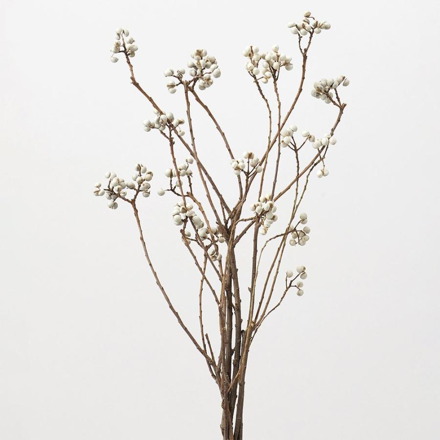 ドライフラワー 花材 とりよせ品 ナンキンハゼ・ステム付き 花材 素材 材料 パーツ 実 なんきんはぜ インテリア ディスプレイ スワッグ リース 大地農園（Yahoo!・造花ドライフラワー専門問屋花びし）