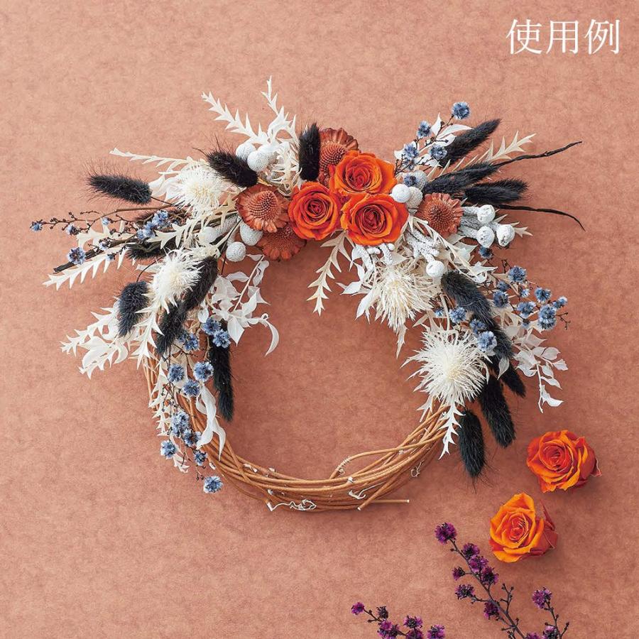 ドライフラワー 花材 とりよせ品 メキシカンハット 木の実 フルーツ  
