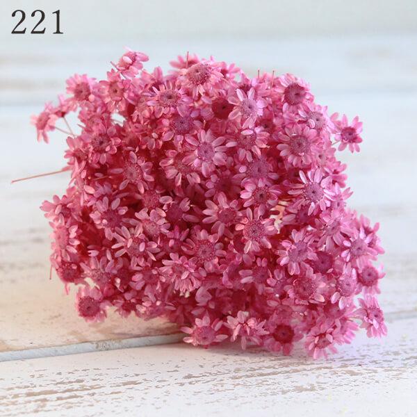 ドライフラワー 花材 とりよせ品 スターフラワー・ブロッサム ドライフラワー 花材 とりよせ品 スターフラワー・ブロッサム