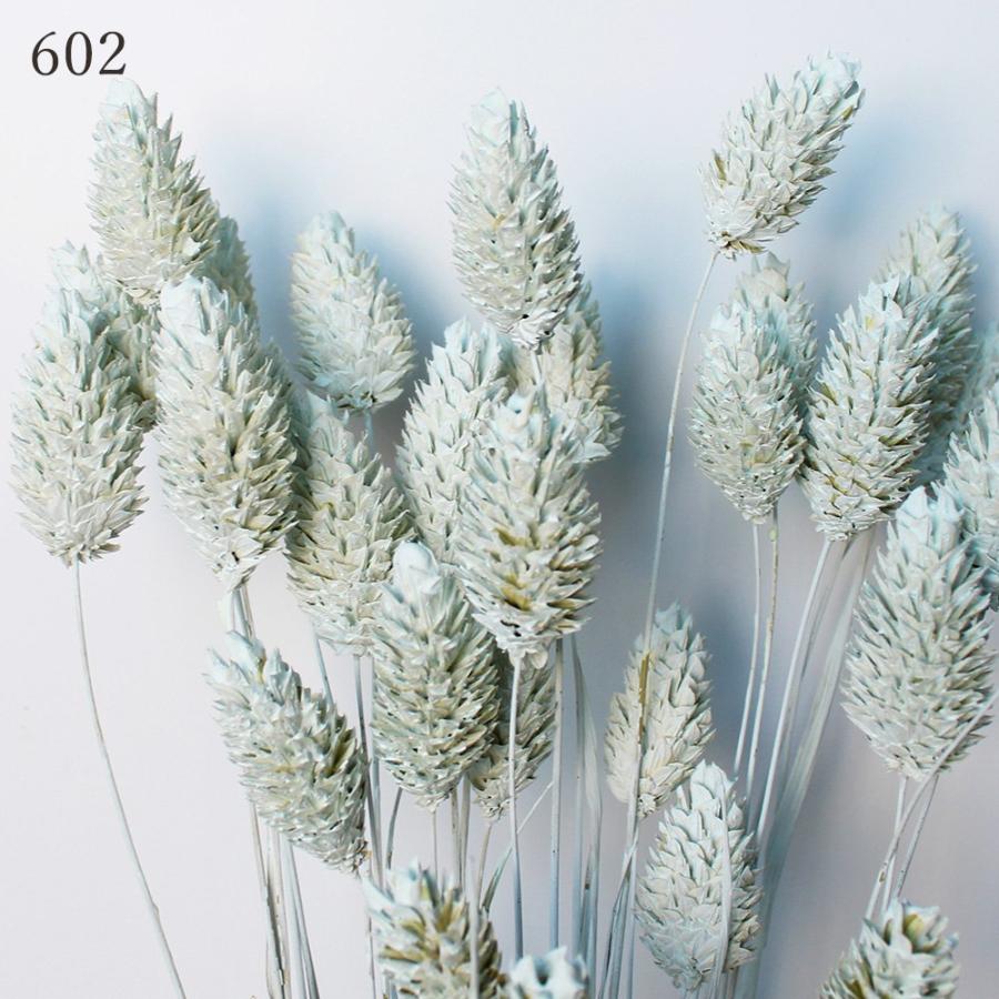 在庫整理❣️爆盛り‼️ドライ　花材　長め 在庫整理❣️爆盛りドライフラワー花材 長め ドライフラワー