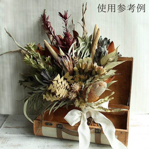 P5倍中 12/16 09:59迄】 ドライフラワー 花材 とりよせ品 ストレチア