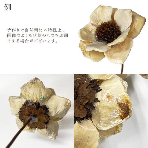 ハンドメイドフラワー 花材 とりよせ品 大地農園 パインフラワー 白 ドライ 自然素材 ドライフラワー ハンドメイドフラワー インテリア プリ Och 造花ドライフラワー専門問屋花びし 通販 Yahoo ショッピング