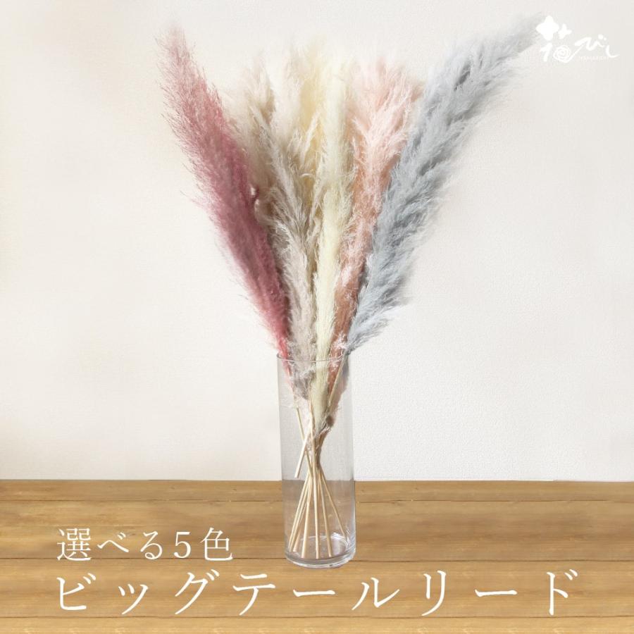 楽天 ドライフラワー 花材 とりよせ品 大地農園 ビックテールリード パンパス系 インテリア ディスプレイ ふわふわ スワッグ ブライダル 自然素材 Nerima Idc Or Jp