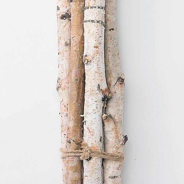 ドライフラワー とりよせ品 大地農園 白樺枝 70cm 1束5本入り N Och 造花ドライフラワー専門問屋花びし 通販 Yahoo ショッピング