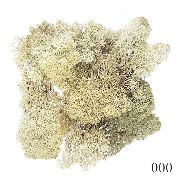 プリザーブドフラワー 花材 とりよせ品 アイスランドモス 大箱