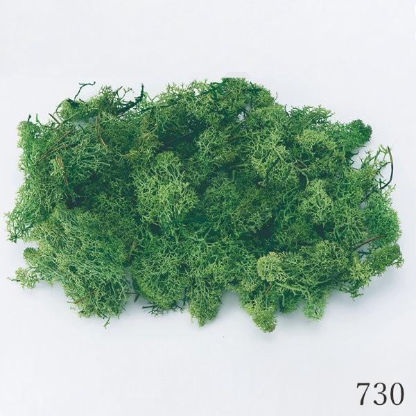 琉球*ルミカモス★ 蓄光 フィンランドモス　プリザーブド花材　0331-2 楽天市場】モス フィンランドモス 200g プリザーブド