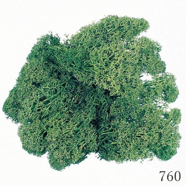 琉球*ルミカモス★ 蓄光 フィンランドモス　プリザーブド花材　0331-3 楽天市場】モス フィンランドモス 200g プリザーブド