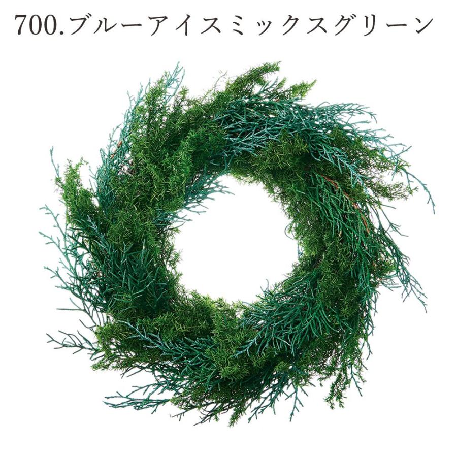 fleurさん用 ヒムロスギ ブルーアイス 切り落としセット fleurさん用