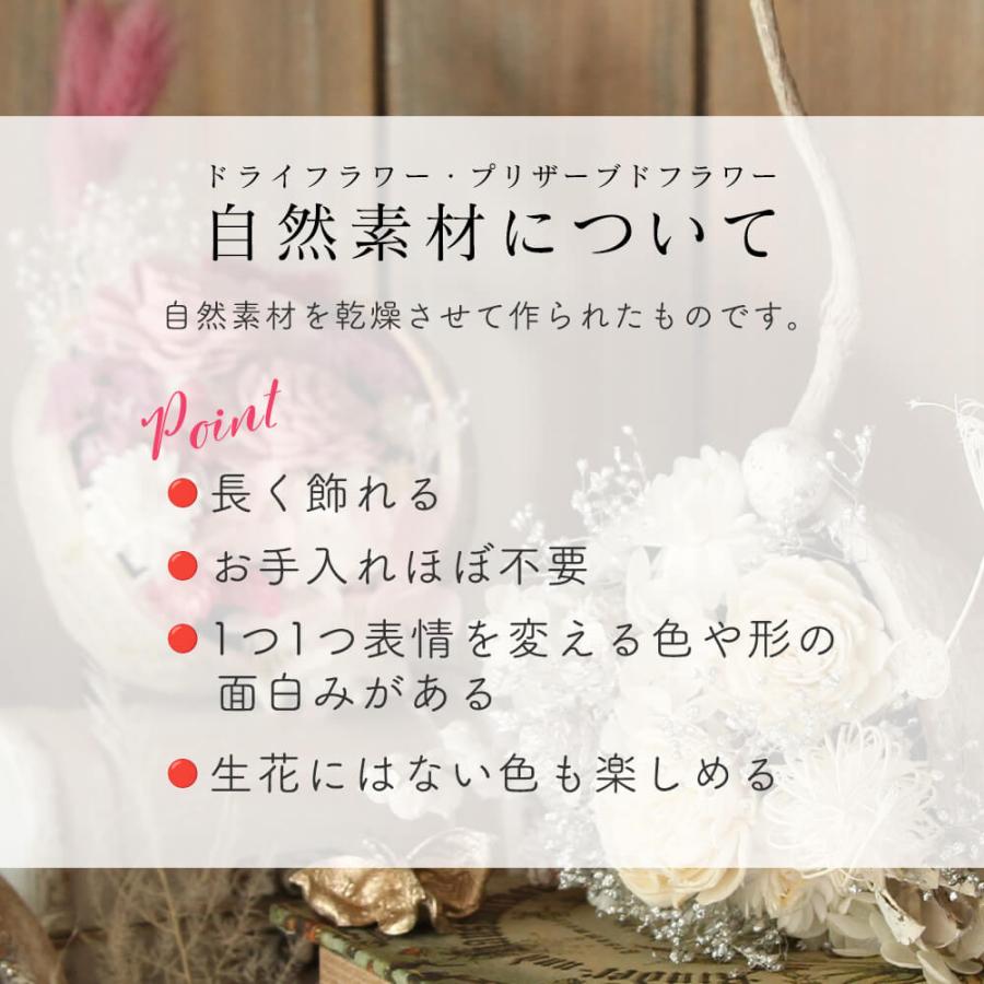 ドライフラワー 花材 》 ☆即日出荷☆花びし 花材セット パーツ 素材