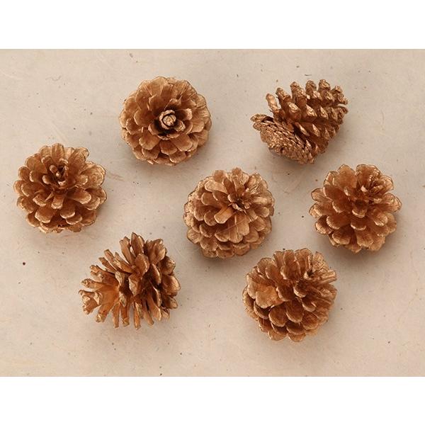 ドライフラワー 花材 とりよせ品 松笠 M ゴールド (24個パック) 木の実