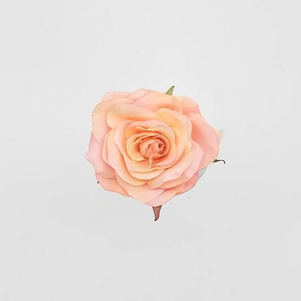 ふるさと割 造花 とりよせ品 Parer ミニルーシーローズピック サーモン インテリア インテリアフラワー フェイクフラワー シルクフラワー 花材 Heartlandgolfpark Com