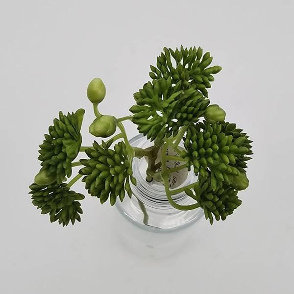 造花 グリーン 多肉植物 とりよせ品 セダムピック エアプランツ サッカ