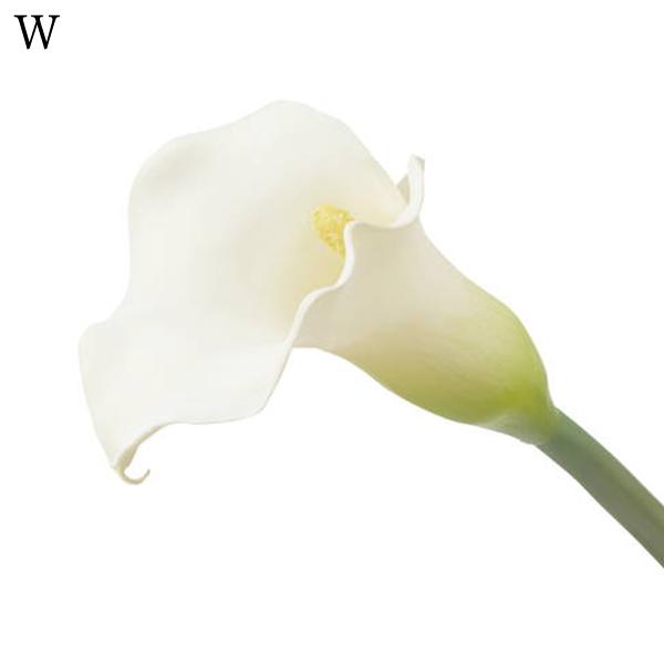 P5倍中 爆買】 造花 とりよせ品 カラーリリー(1セット12本入り