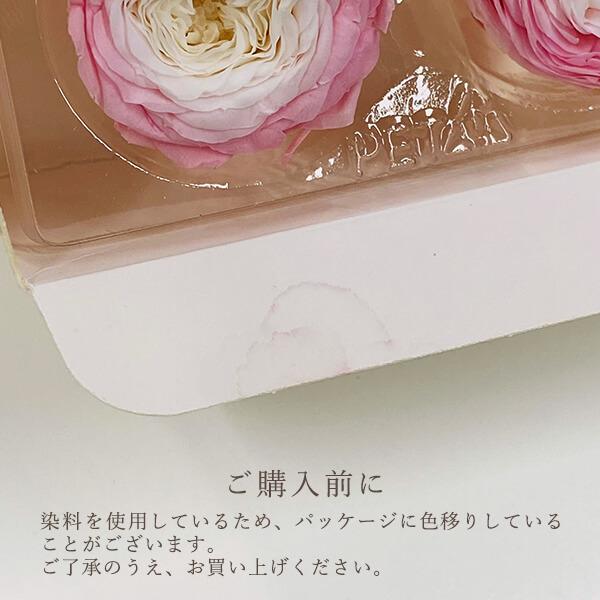新品ナナガーデンローズライトピンク1箱プリマヴェーラ