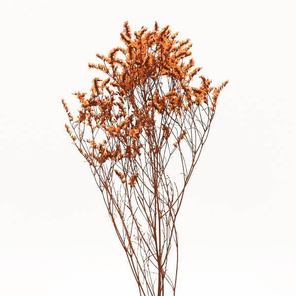 激安 ドライフラワー 花材 即日出荷 アスカ リモニウム スターチス 在庫限り サーモンピンク ドライフラワー スワッグ ブーケ 花束 ナチュラル Aynaelda Com